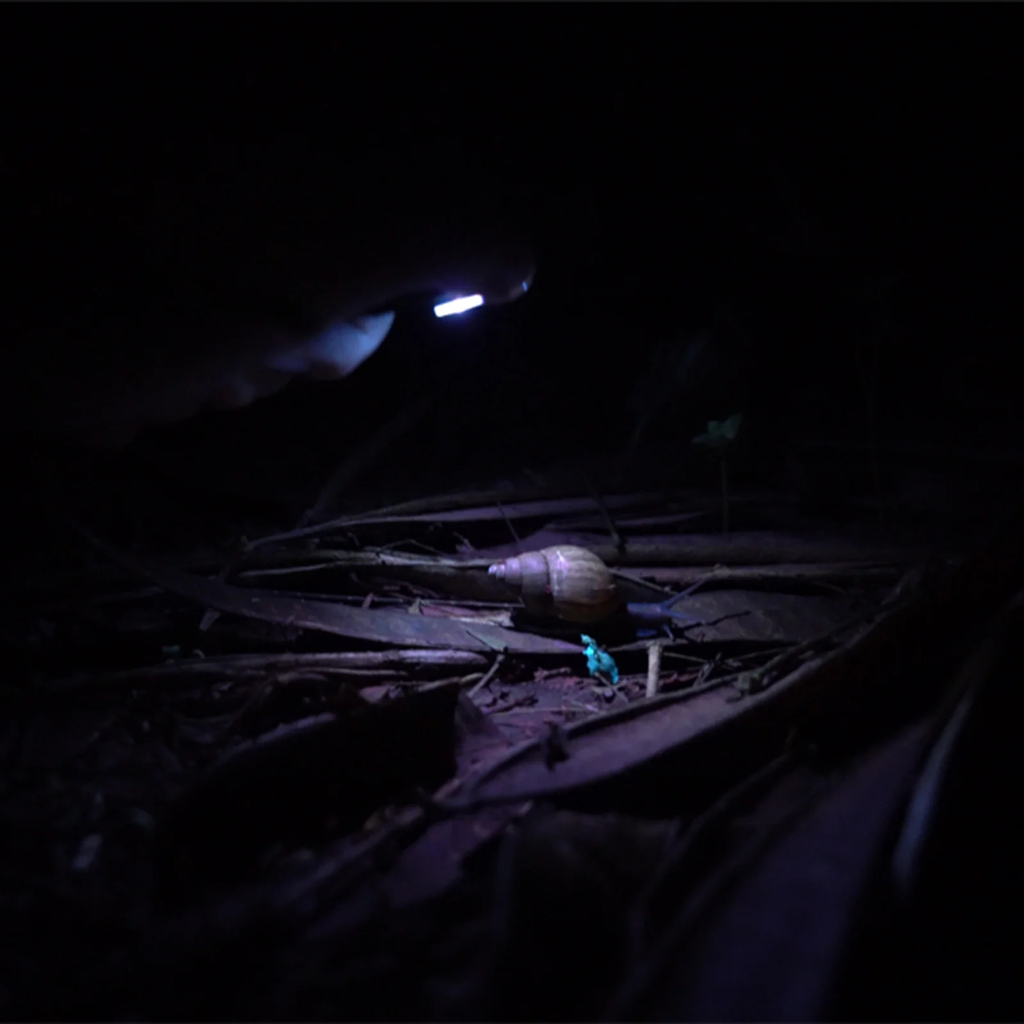 Angel Eyes E90 Flat EDC Flashlight
