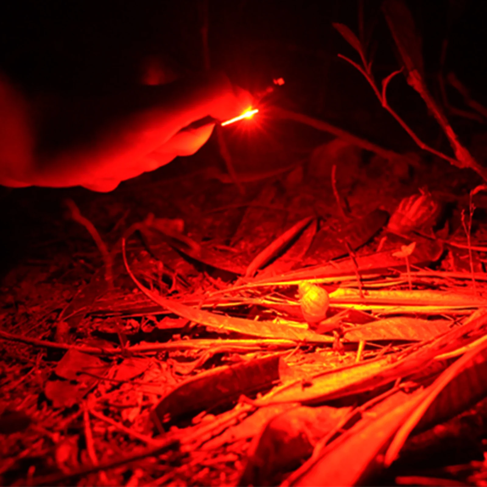 Angel Eyes E90 Flat EDC Flashlight